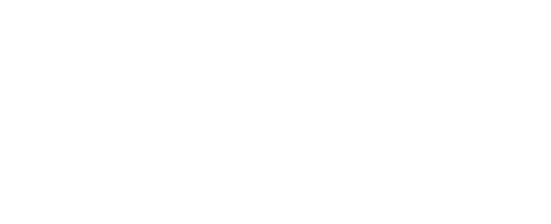 Dynamic Scaffolding